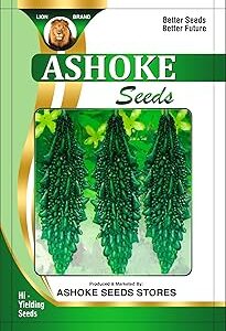 ASHOKE Seeds Hagalakayi Planting Seeds for High Germination and High Yielding Seeds (25 seeds per packet)