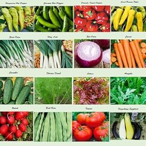 Monsoon vegetable seeds (500 seeds)