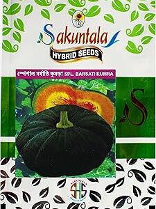 Sakuntala Hybrid Seeds Special Barsati Kumra Seeds | All Season Vegetable Seeds | Fresh Pumpkin Seeds (Pack of 70 seeds)