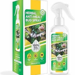 Herbal Anti-Mealy Bug Spray For Plants - 100% Herbal Actives & No Chemicals - 250 ML Natural & Eco-Friendly Fungus Killer Removes White Fungus on Plants 100% Herbal & Chemical free Baby & Pet safe