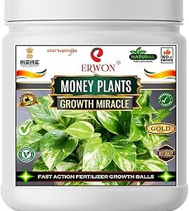 Erwon® Money Plant GROWTH MIRACLE Fertilizer, Fast Action Organic Granules for rapid Overall Healthy Growth of money Plants. (200 gm)
