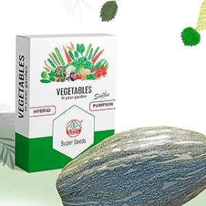 SUPER SEEDS Sidhu Pumpkin/Kaddoo Seeds for Gardening Indian Vegetable Seeds F1 Hybrid Seed For Home Garden, Organic & Hybrid,Kitchen Garden, Backyard, Planting For Pots -2Gm, 10 Seeds
