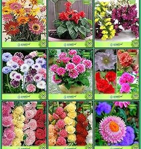 Creative Farmer seeds for gardening - Combo Pack