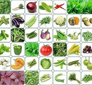 Aero Seeds 40 Varieties of Vegetable Seeds 2600+ High Germination Seeds For Your Garden With Instruction Manual