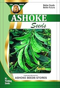 ASHOKE Seeds Seem Seeds High Yielding Seeds Vegetable Seeds Easy to Grow Organic Seam Seeds for Maximum Nutrition & Growth (Pack of 25 seeds)