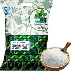Shiviproducts Epsom Salt(Magnesium Sulphate) for plants in garden(4.5kg) | For Plant Growth & Plant Nutrient | Muscle Relief, Relives Aches & Pain