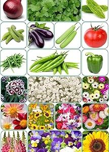Aero Seeds 20 variety(10 flower and 10 vegetable) seeds combo pack with instruction manual.