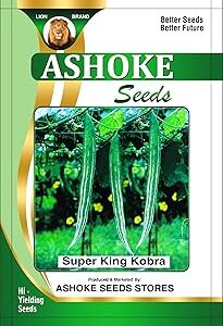 ASHOKE Seeds Padwal Seeds Chichinga Seeds for Gardening (Pack of 25 seeds)