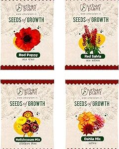 Urban Plant Red Poppy, Red Salvia, Helichrysum, Dahlia Flower Seeds Combo | 4 Packet Bundle for Pots, Balcony, Terrace, Home & Kitchen Gardening