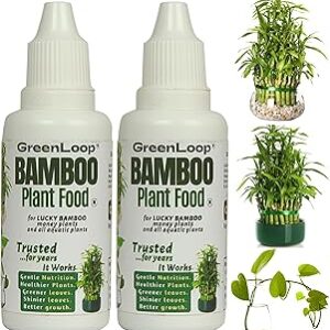 GreenLoop - Bamboo Plant Food (& for Money Plants) - Liquid Food for Aquatic Plants (in Water), Two Bottles, Each 30 ml.
