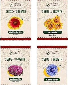 Urban Plant Gaillardia Mix, Gazania, Verbena Mix, Cornflower Flower Seeds Combo | 4 Packet Bundle for Pots, Balcony, Terrace, Home & Kitchen Gardening