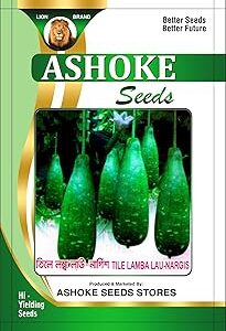 ASHOKE Seeds High-Yield Long Bottle Gourd Seeds – Best for Home & Farm Gardening (Pack of 25 seeds)