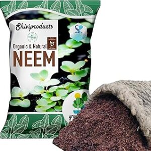 Shiviproducts Neem Khali Cake/powder (450 gm) | plant growth | organic pest control.