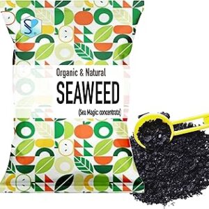 Shiviproducts Seaweed Flakes Powder with essential micro nutrients for Plant Growth and Flowering (100 gm)