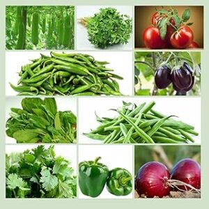 ONLY FOR ORGANIC 10 Variety Of Vegetable Seeds Combo Pack With Instruction Manual.