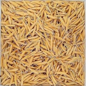 Sakshi Farms | Pusa Rice Seeds 1886 Variety | Basmati Rice Seeds For Sowing, Farming & Agriculture | 5 kg