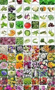 Aero Seeds 80 varieties (40 flower and 40 vegetable) seeds combo pack with instruction manual.