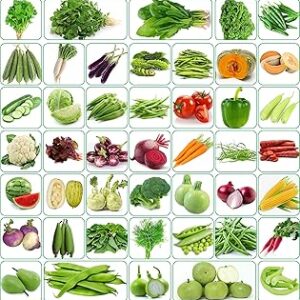 Agnico 45 Varieties of Vegetable Seeds 2665+ High Germination Seeds For Your Garden With Instruction Manual