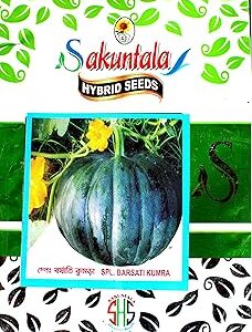 Sakuntala Hybrid Seeds Pumpkin Seeds Barsati Kumra Seeds Kaddu Seeds for Home Gardens Farms | All Season Vegetable Seeds for planting | High Yielding Seeds | Hybrid Seeds (80+ seeds per packet)