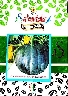Sakuntala Hybrid Seeds Pumpkin Seeds Barsati Kumra Seeds Kaddu Seeds for Home Gardens Farms | All Season Vegetable Seeds for planting | High Yielding Seeds | Hybrid Seeds (80+ seeds per packet)