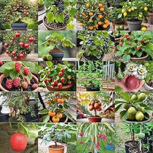 Container Fruit Seeds Mega Combo Pack, 20 Varieties Including Apple, Grape, Orange, Lemon, Pomegranate, Kiwi, Berries and More, with Growing Guide