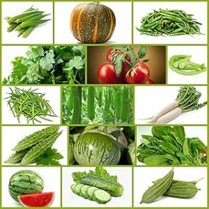 Only For Organic Summer Hybrid Vegetable Seeds With Instruction Manual (Pack of 15 Variety)