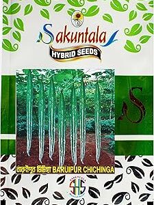 Sakuntala Hybrid Seeds Baruipur Chichinga Seeds Ridge Gourd Seeds | High Yielding Seeds | Indian Vegetable Seeds (Pack of 10 seeds)