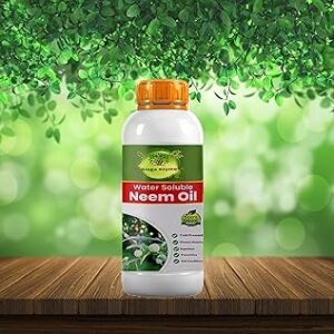 Alagaezyme Neem Oil for Plants | Water soluble Neem Pesticide Good for Plant Health | EC Azadirachtin - 10000 PPM Controls (1000 ml)