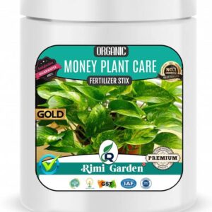 Rimi Garden Money Plant Care Premium Essential Organic ...
