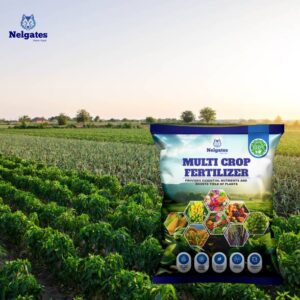 Nelgates Multicrop Fertilizer Enhancing Growth Across D...