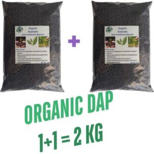 Evvue Organic Bio Granules Fertilizer For Garden Plant ...